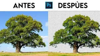 🔥Cómo seleccionar o quitar fondos en photoshop tutorial ✅