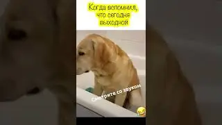 Доброе утро!
