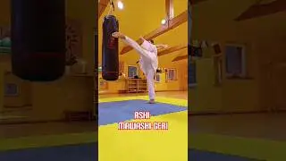 🔝ASHI-MAWASHI-GERI