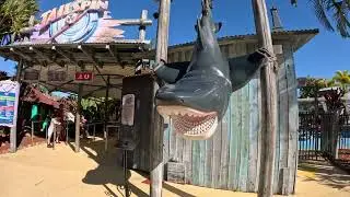Walk Around dreamworld