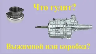 Гул выжимного подшипника
