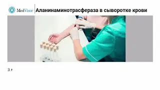 Аланинаминотрасфераза в сыворотке крови