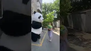Дарите женщинам цветы #panda #umka #Амиго #Умка #dance #umkarostov #мишкаумка #амиго #медведь #танцы