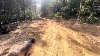 200 more people coming to our Tiny Home paradise!!!!