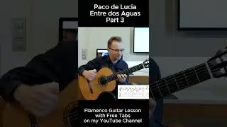 Entre dos Aguas - Paco de Lucia (Part 3) #shorts #flamencoguitar #entredosaguas #pacodelucia #guitar