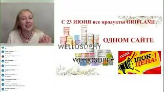 Запуск каталога 8  2024