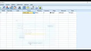 How to Create Value Labels in SPSS