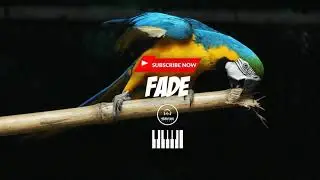 New Dancehall Riddim Instrumental 2021 - Marvoni Beats | Fade