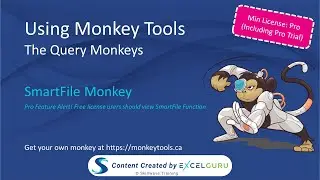 Using Monkey Tools - Query Monkeys (Pro) - Smart File Monkey