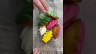 Madeleines 