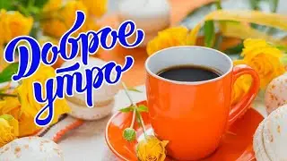 Видео открытка с Добрым утром