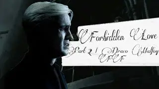 Forbidden Love | Part 2 | Draco FF