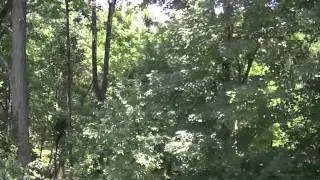 Hanging Out At The Northlandz 6-30-11 (Reuploaded)