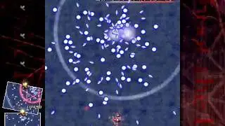 Shoot the Bullet 2-3 Snow Sign 