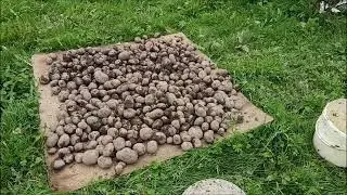 Всё залило... В поле не заехать...