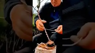 The bonsai story #trending #farming #youtubeshorts #bonsai