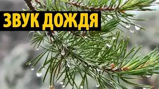 Звук дождя в палатке 10 часов | Шум дождя для крепкого сна