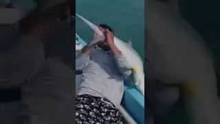 #юмор