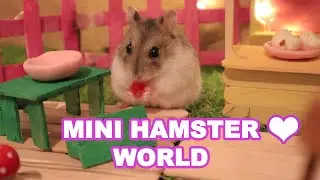 Hamster 🐹 miniature Popcorn world | Hamster Stories
