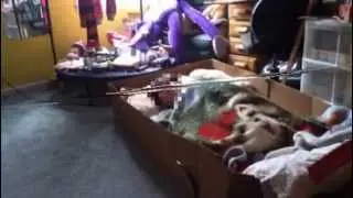 The Guy in the Box