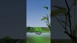 Как рыба стрелок попадает точно в цель 🎯