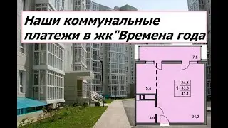 Расходы на коммунальные платежи в жк 