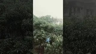 #rain #summer #summerrain