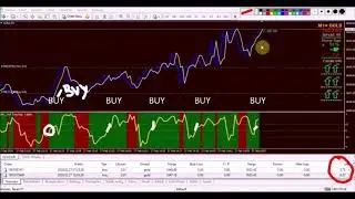 Cara Trading supaya profit terus menerus.
