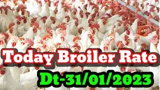 #TodayBroilerRate