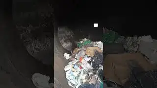 Маша пече перожкі