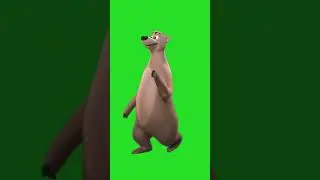 Green Screen 3d Animate Bear short video , copyright freeat