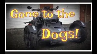 Gone to the Dogs. Life on a Can Am Ryker #CanAmRyker900 #RykerBykers