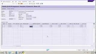 SAP MM Part 2 Source Determination Section C Quota Arrangement ECC6/S4 Hana