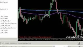 Strategy - Money Management Practice (Simulation)