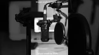 Festival music Seduction nocopyrightmusic