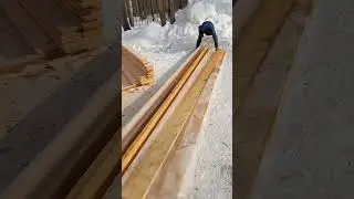 Моем дерево