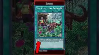 NEW Banlist Sept 2024 || Yu-Gi-Oh! #yugioh #shorts