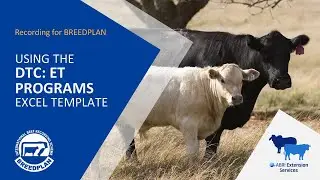 Using the Days To Calving: ET Programs Excel Template