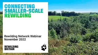 Smaller Scale Rewilding: Hill Crest, Embercombe & Devon Wildland