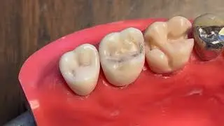 The Mahafi Prep