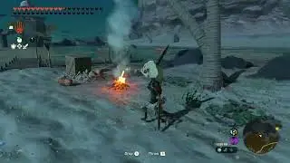 5v1  ( Zelda Tears of the Kingdom)