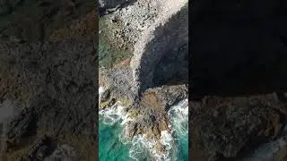 Humpback Whale | Maui in 4K CINEMATIC drone shots