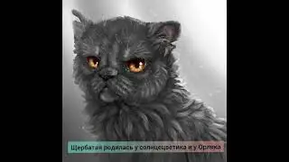 коты воители история Щербатой