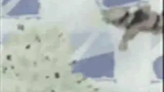 naruto's filth in the beauty