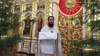 Проповедь иерея Максима Адамова на Богоявление