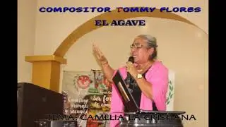 20 de septiembre 2021 La famosa camelia