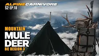 MOUNTAIN MULE DEER HUNTING | BC REGION 3| P1