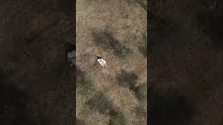 Video di coppia| Video Romantici| Coppia che viaggia| Idee video di coppia