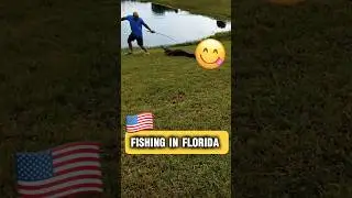 Would you like to go #fishing in #Florida ? #america #reptiles #fishingvideo #fish #usa #funny #us