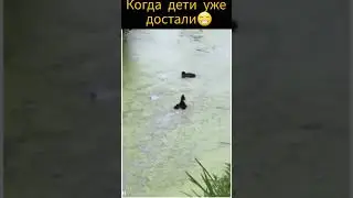 Когда дети уже достали